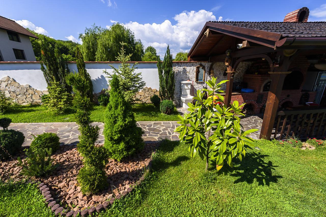 Hotel Casa Andrei à Orşova Extérieur photo